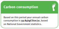 Your water-related carbon consumption and year-to-date consumption image