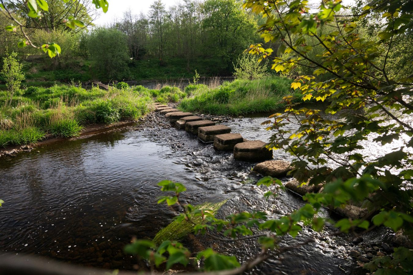 Stepping stones across the River Ayr