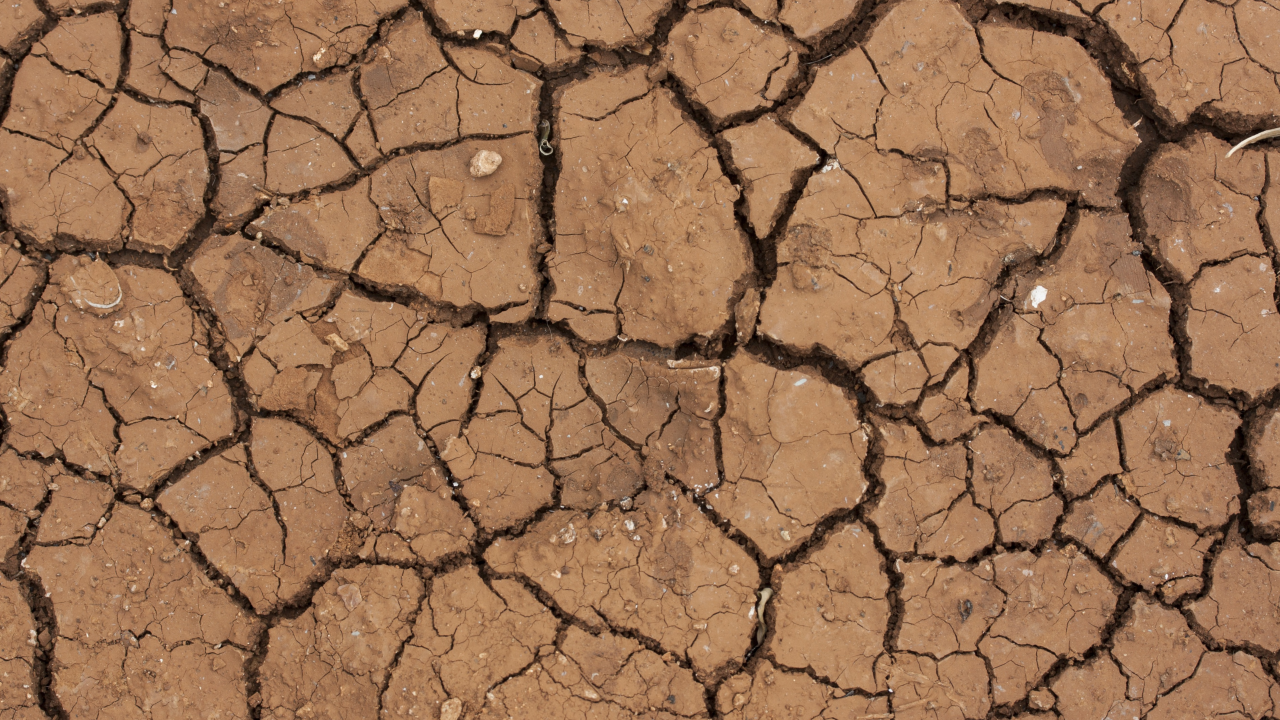 Close-up of dry, cracked earth showing signs of extreme dryness and lack of moisture.