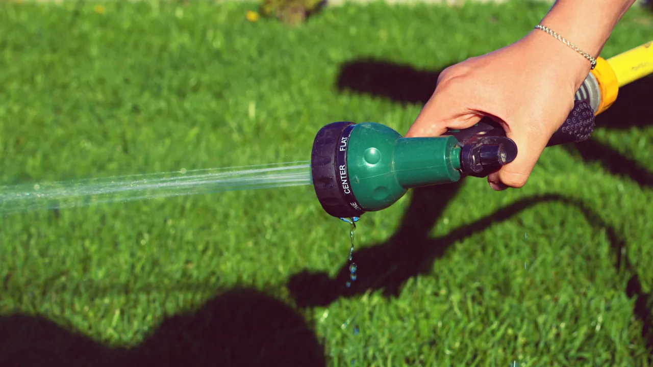 Hand holding a garden hose spraying water onto a green grass.