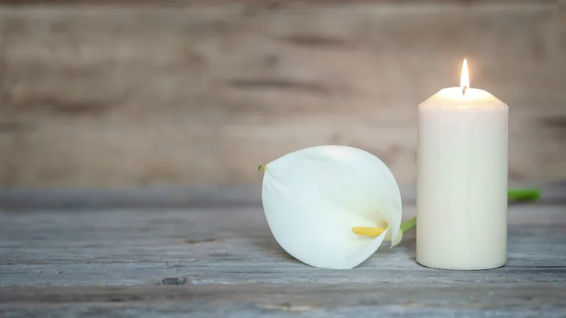 lit cream candle on right of shot with white lily lying to its left