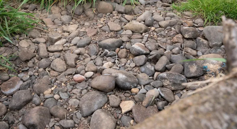 Rocks and pebbles at the bottom of a dried up stream